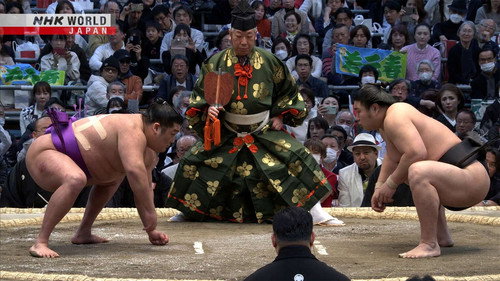 GRAND SUMO Highlights Season 22 Episode 13 - Day 13