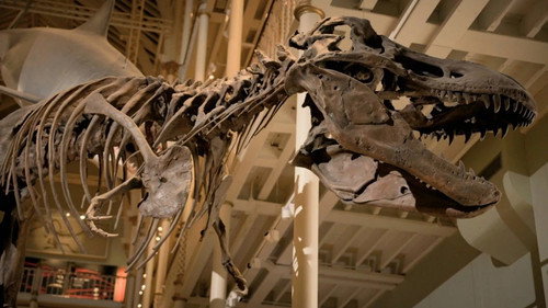 Lost Beasts Unearthed Season 1 Episode 1 - Secrets of the Deadly T-Rex