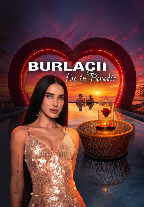 Bachelors: Fire in Paradise poster