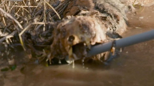 The Secret of Skinwalker Ranch Season 5 Episode 3 - Dead In The Water