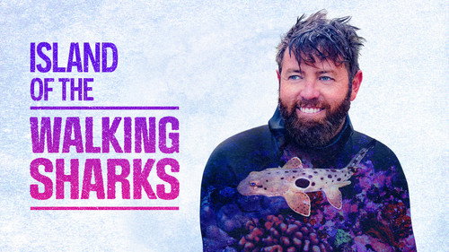 Shark Week Season 35 Episode 10 - Island of the Walking Sharks