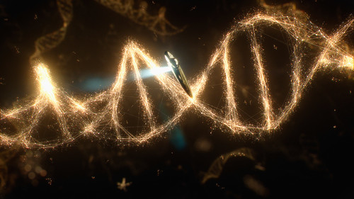 Cosmos Season 1 Episode 2 - Some of the Things that Molecules Do