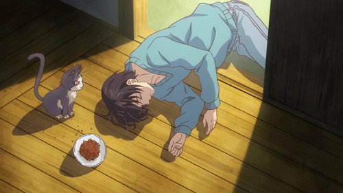 My Roommate is a Cat Season 1 Episode 1 - An Encounter with the Unknown