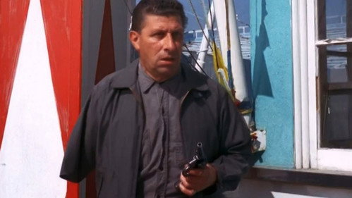 The Fugitive Season 4 Episode 30 - The Judgment (2)