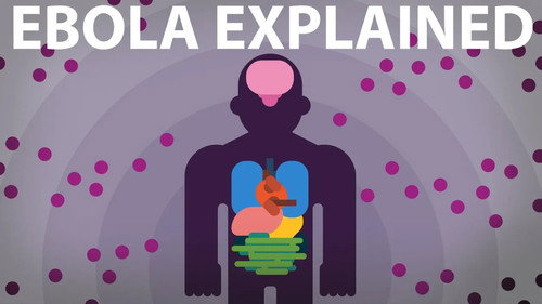 Kurzgesagt - In a Nutshell Season 2 Episode 13 - The Ebola Virus Explained — How Your Body Fights for Survival