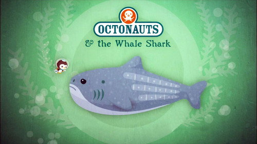 Octonauts Season 1 Episode 14 - The Whale Shark