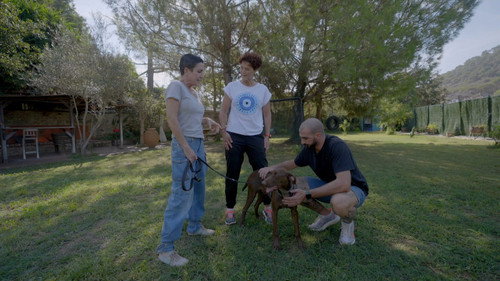Cita bestial Season 1 Episode 2 - Episode 2
