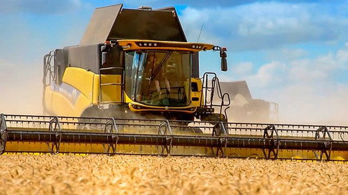 Harvest still