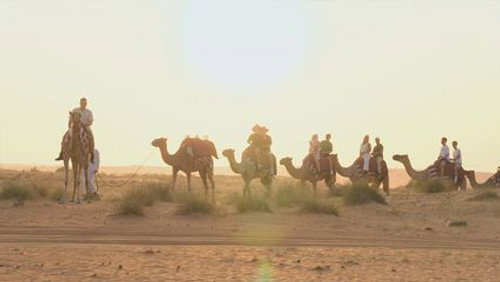 Telefacts Zomer Season 2 Episode 21 - Episode 21