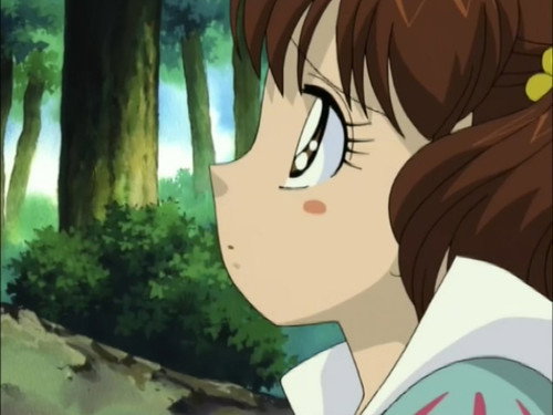 Hamtaro Is a Star! (a.k.a. Laura and the Seven Hamsters) still