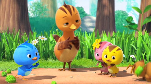 Cute Little Chicken Squad Season 1 Episode 1 - Episode 1