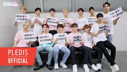 GOING SEVENTEEN Season 3 Episode 9 - Japan HARU CONCERT #2