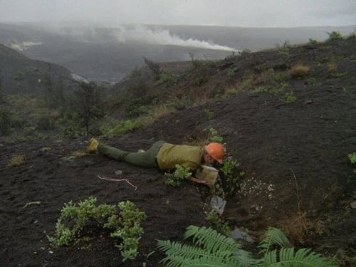 Hawaii Five-O Season 7 Episode 2 - A Hawaiian Nightmare