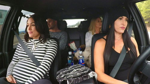 Total Bellas Season 2 Episode 2 - Marital Mayhem