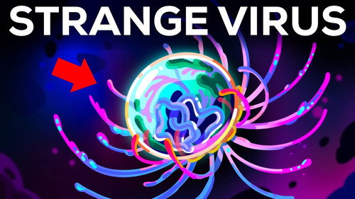 Kurzgesagt - In a Nutshell Season 12 Episode 14 - Why Scientists Are Puzzled By This Virus