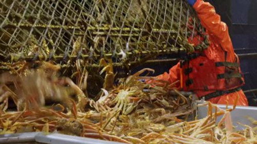 Deadliest Catch Season 21 Episode 12 - Kidney Punch