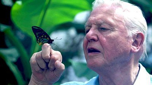 Natural World Season 32 Episode 5 - Attenborough's Ark