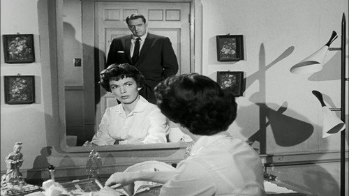 Perry Mason Season 2 Episode 19 - The Case of the Caretaker's Cat