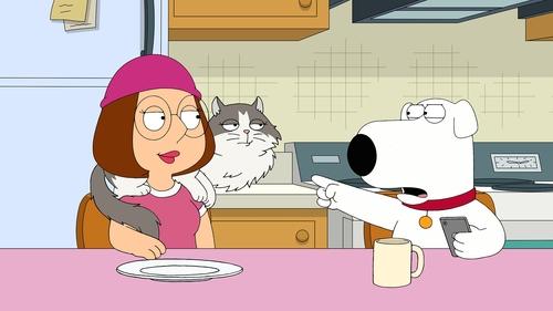 undefined Season 19 Episode 19 - Family Cat