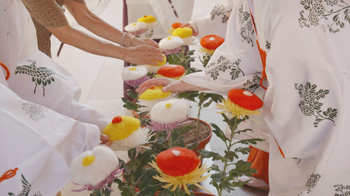 Core Kyoto Season 8 Episode 12 - The Double Ninth Festival: Beautiful Chrysanthemums Grant Longevity