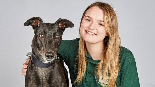 The Dog House Season 3 Episode 1 - Episode 1