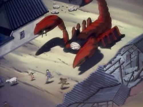 The Chinese Scorpion still