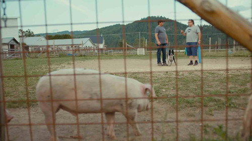A Chef at the Shack Season 8 Episode 3 - Episode 3