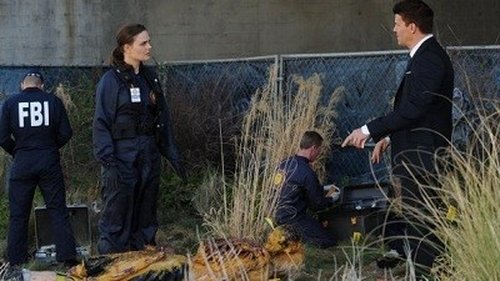 undefined Season 8 Episode 8 - The But in the Joke