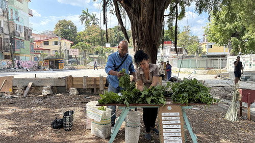 ARTE Reportage Season 28 Episode 16 - Cuba: Island in Shock / Argentina: Save the Condor