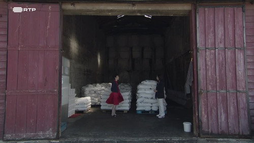 Guided Tour Season 11 Episode 19 - Episode 19