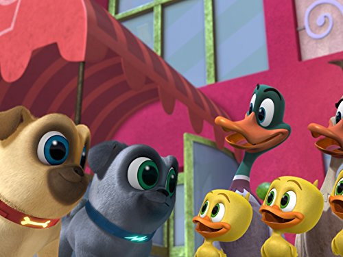 Puppy Dog Pals Season 1 Episode 9 - Design-a-dog