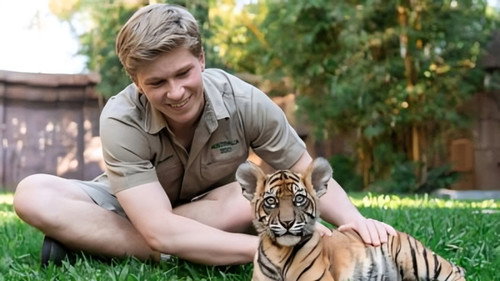 Crikey! It's the Irwins Season 3 Episode 2 - Tiger Triplets