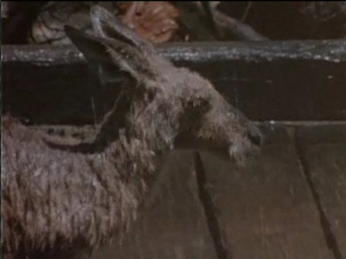 Skippy the Bush Kangaroo Season 2 Episode 31 - Hi Fi