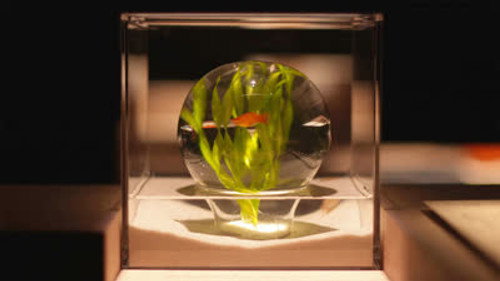 DESIGN TALKS plus Season 5 Episode 2 - Phenomena
