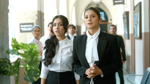 Raisinghani VS. Raisinghani Season 1 Episode 2 - Landmark Decision