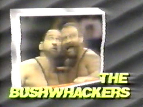 WWF Superstars Season 4 Episode 10 - March 11, 1989 - Superstars of Wrestling 132