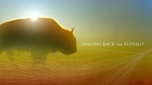 The Nature of Things Season 64 Episode 9 - Singing Back the Buffalo