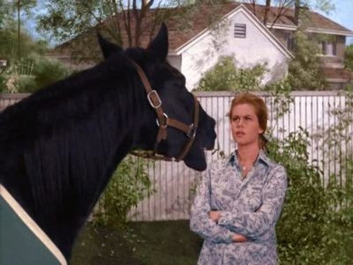 undefined Season 2 Episode 25 - The Horse's Mouth