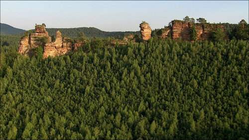 Wild Germany Season 2 Episode 2 - The Palatinate Forest