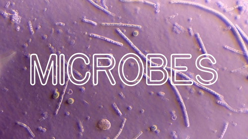 Frick, I Love Nature Season 1 Episode 4 - How Microbes Rule Your World