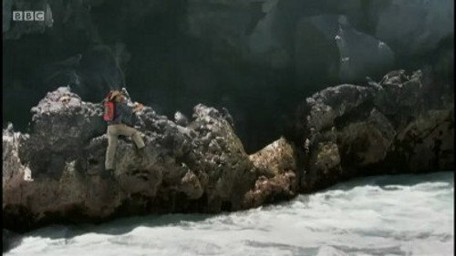 Andy's Wild Adventures Season 2 Episode 17 - Marine Iguanas