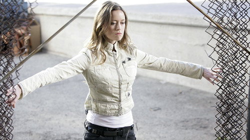 Terminator: The Sarah Connor Chronicles Season 2 Episode 20 - To the Lighthouse