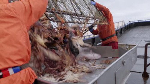 Deadliest Catch Season 21 Episode 6 - Boarded on the Time Bandit