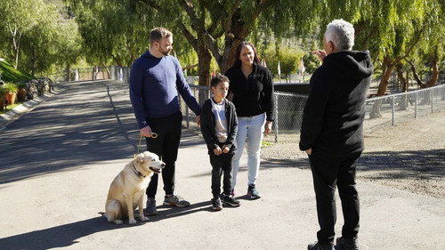 Cesar Millan: Better Human, Better Dog Season 5 Episode 3 - Foil Frenzy
