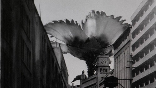 undefined Season 1 Episode 4 - Mammoth Flower