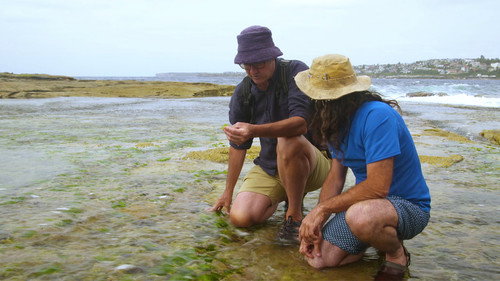 Gardening Australia Season 29 Episode 6 - Episode 6