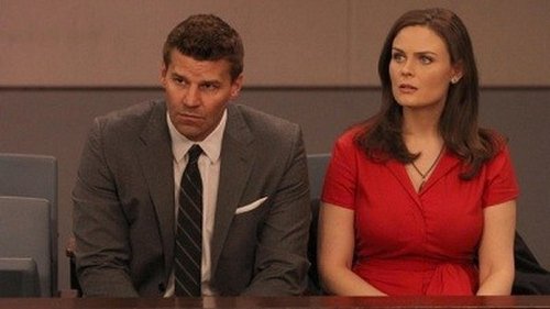 Bones Season 7 Episode 13 - The Past in the Present