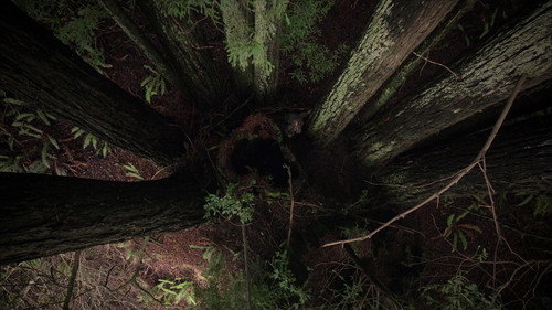 Expedition Bigfoot Season 5 Episode 6 - Smells Like Bigfoot