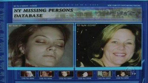 CSI: NY Season 1 Episode 19 - Crime and Misdemeanor