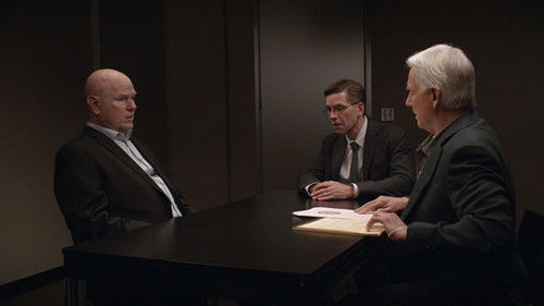 NCIS Season 16 Episode 16 - Bears and Cubs